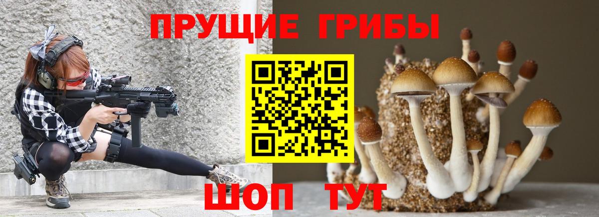 Псилоцибиновые грибы Psilocybe  Вход с VPN  Урус-Мартан 