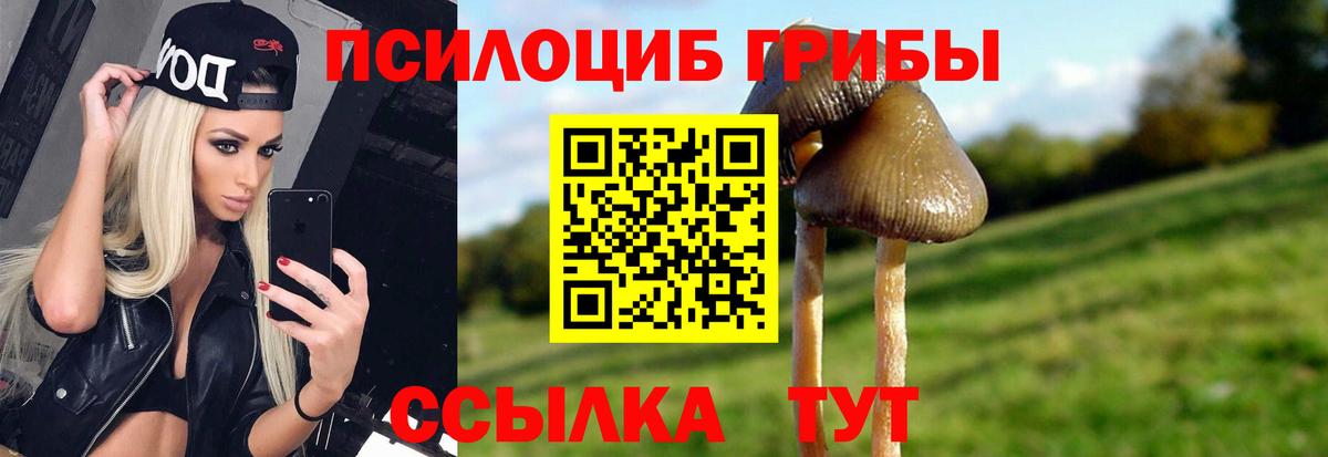 Галлюциногенные грибы мицелий Урус-Мартан